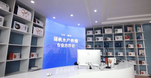 競(jìng)賽比武 走進(jìn)全市基層黨建觀摩①農(nóng)村領(lǐng)域觀摩點(diǎn)